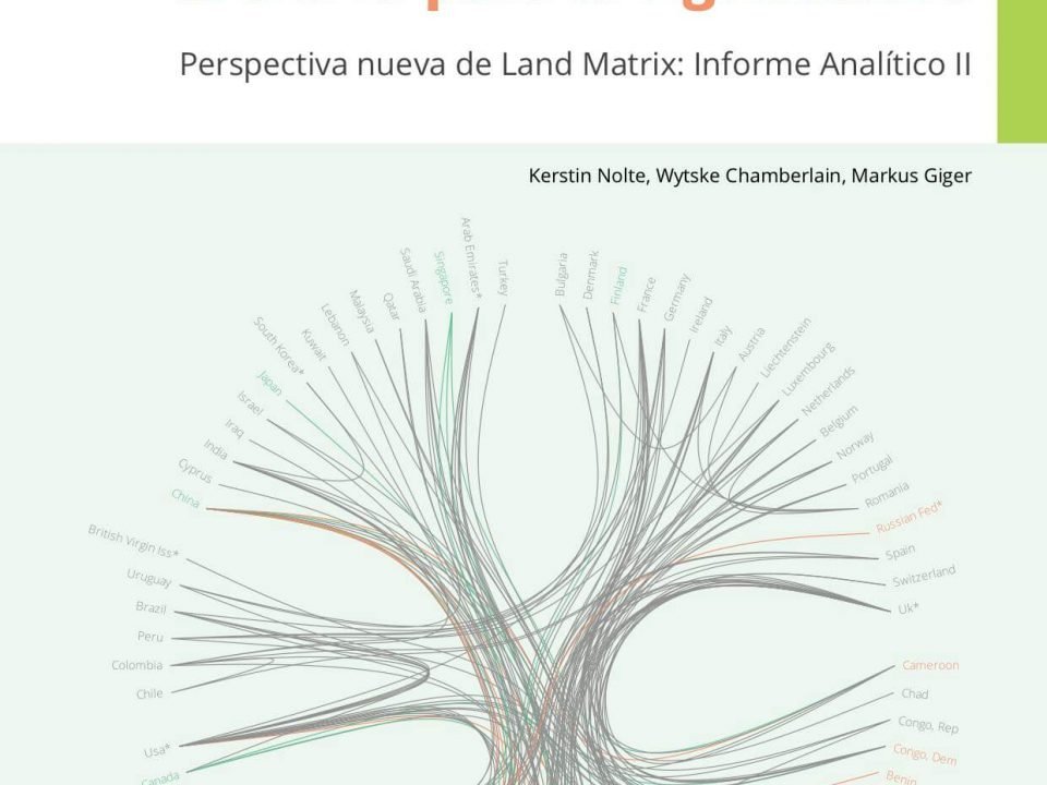 Informe Analitico II Land Matrix Global