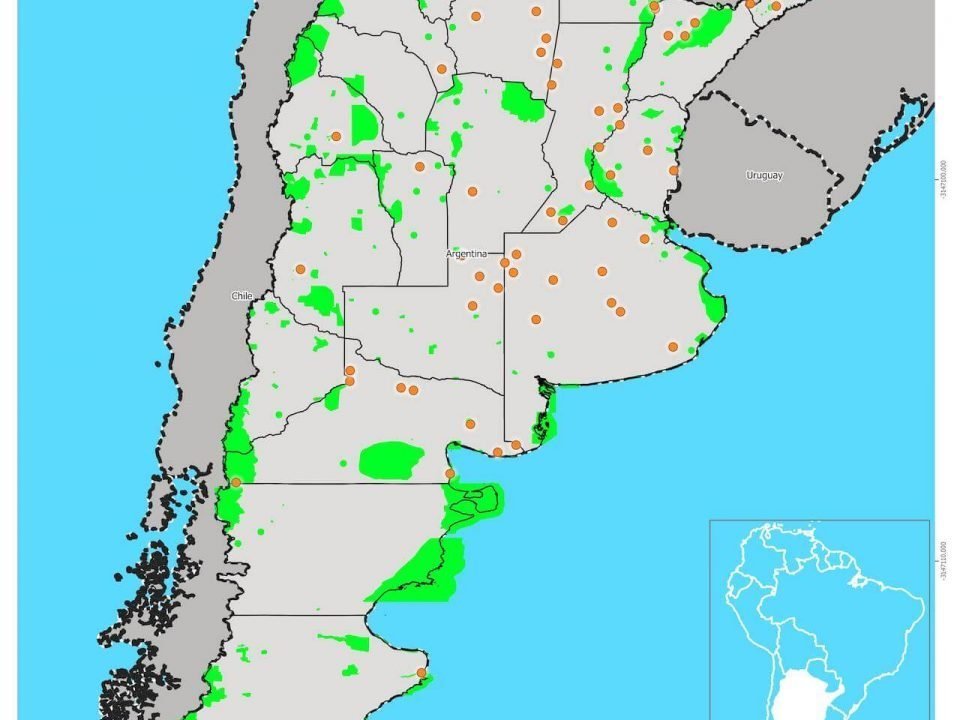Grandes Transacciones de Tierra y áreas protegidas estatales en Argentina
