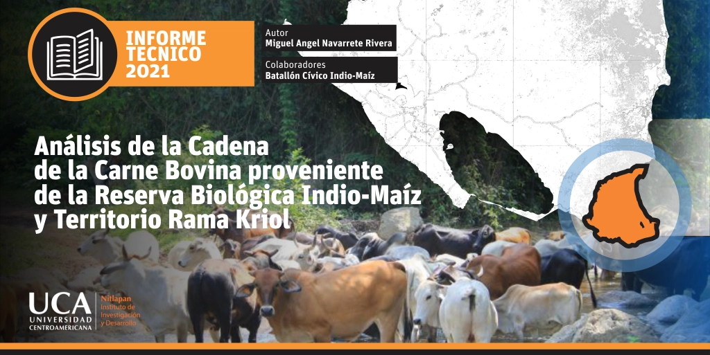 slider informe indio maiz