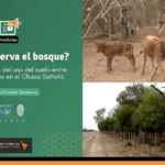Slider_noticia_Quién conserva el bosque