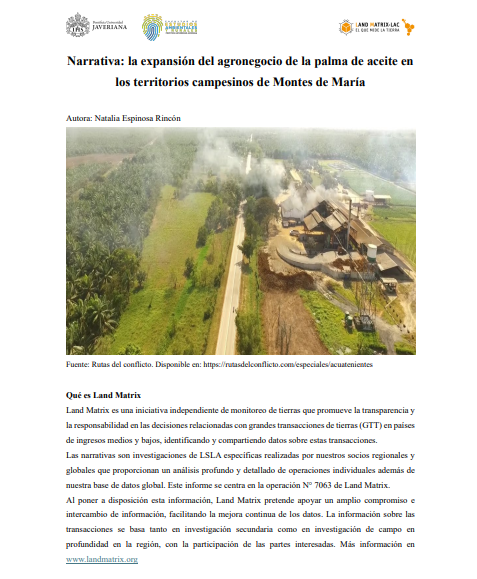 Destacada La expansion del agronegocio de la palma de aceite en Colombia
